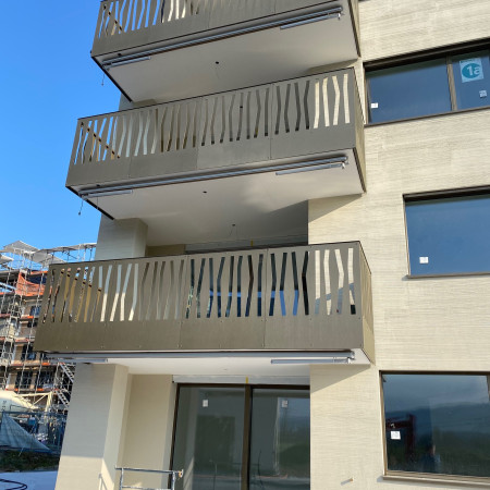IMG 0497